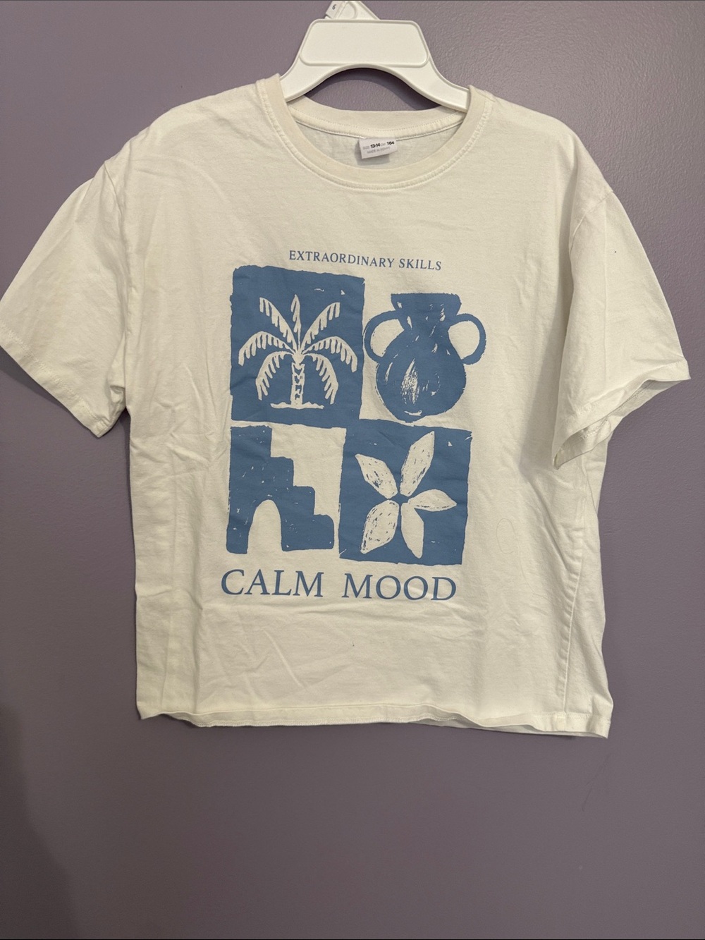 Zara White Tee with Blue Graphic "Calm Mood"